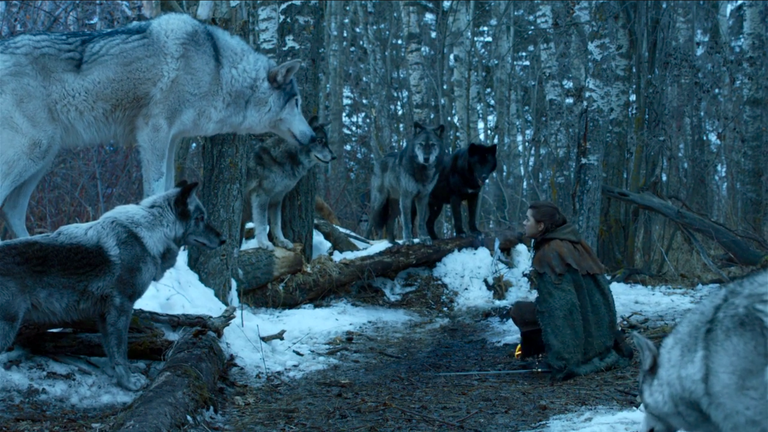 nymeria and arya stark game of thrones season seven.png