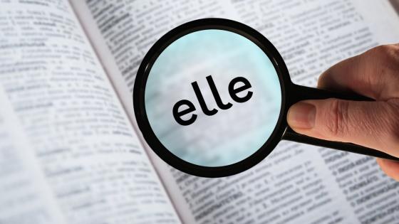 Gaztelaniaz "elle" izenordaina onartzea aztertzen ari da RAE Gaztelaniaz "elle" izenordaina onartzea aztertzen ari da RAE