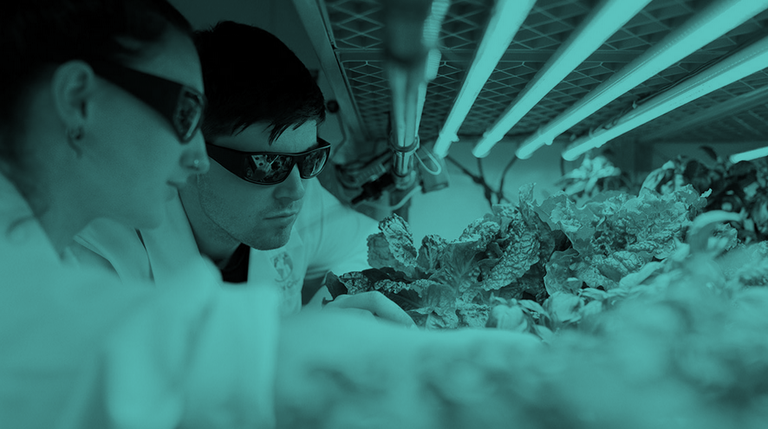 Gipuzkoar gaztea bazara, 20-30 urte bitarte badituzu...