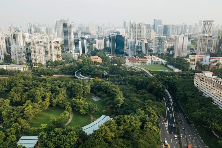 Gune berdeek gure osasun mentala hobetzen dute