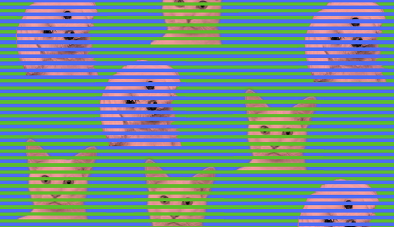 Hala ez badirudi ere, ilusio optiko hauetako objektu guztiak kolore berekoak dira