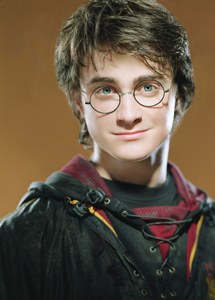 Harry Potterren oinordekoa Harry Potterren oinordekoa