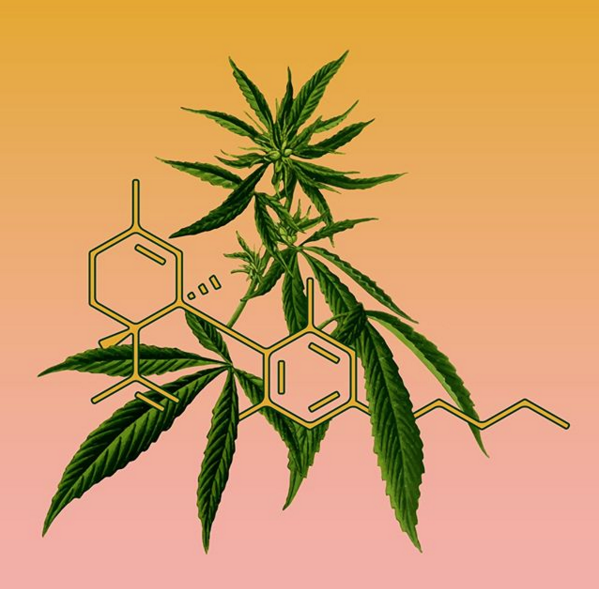 Captura de pantalla 2019-07-09 a la(s) 09.50.41.png