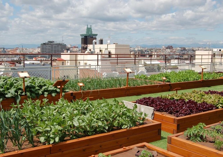 Hiri baratzeak elikadurak sortzen duen karbono lorratza murrizteko