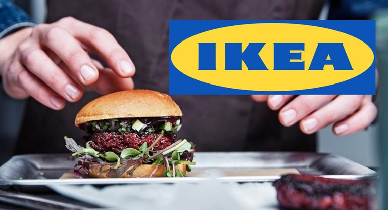 Ikeako jaki berriak: intsektuak eta barazki ekologikoak Ikeako jaki berriak: intsektuak eta barazki ekologikoak
