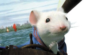 Inbaditzaileak eta boianiztasuna Inbaditzaileak eta boianiztasuna