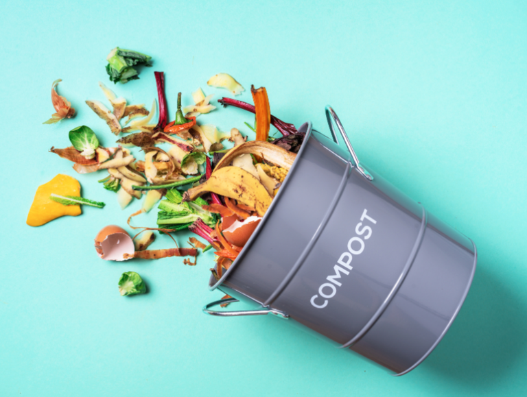 Ipar Euskal Herrian konpostajea derrigorrezkoa da jada