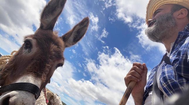 Iruñeko Zinema eta Ingurumeneko Nazioarteko Jaialdiak dokumentalak eta film laburrak eskainiko ditu datorren astean