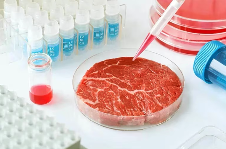 Italiak laborategietan sortutako haragia debekatuko du bere "kultura gastronomikoa babesteko"