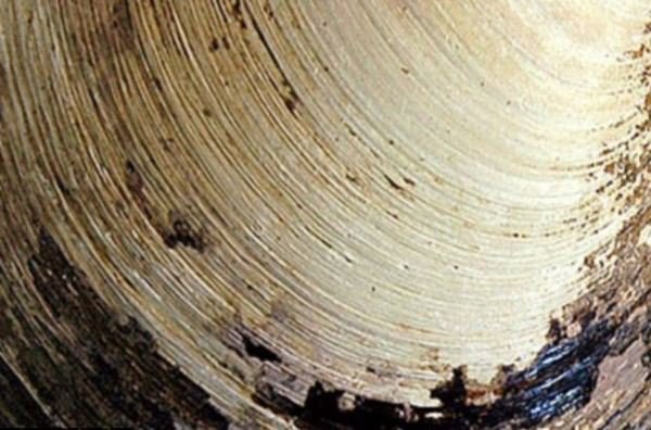 Izaki bizidunik zaharrena Izaki bizidunik zaharrena