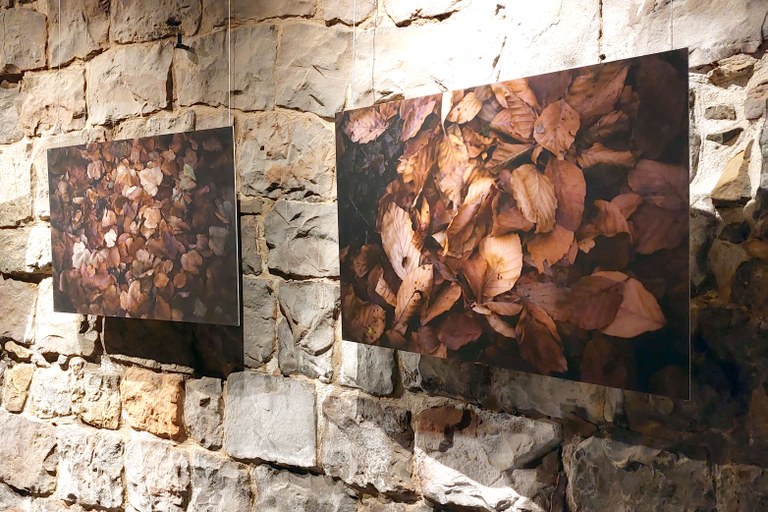 Jaio Lertxundik 'Mari, Lamiak eta basoko aztarnak' argazki-erakusketa jarri du Iruñean