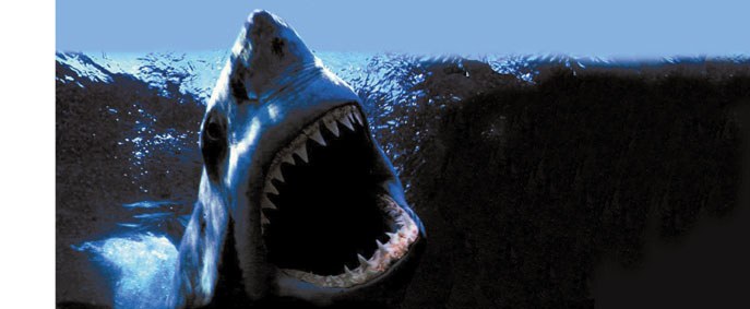 Jaws: Marrazo ikusezina Jaws: Marrazo ikusezina