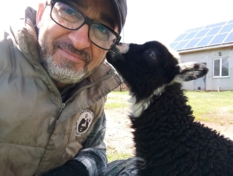 Kieven, animalien babeslekua duen italiar bat, bere animaliekin geratuko da