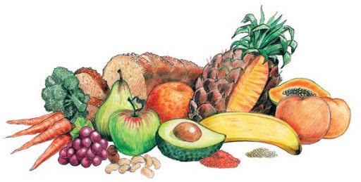 Koarentenako dieta: zer eta noraino bete hozkailua etxean ahalik eta gehien geratzeko Koarentenako dieta: zer eta noraino bete hozkailua etxean ahalik eta gehien geratzeko