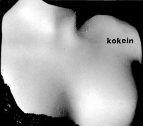 Kokein Kokein