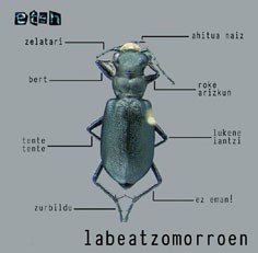 LABEATZOMORROEN BIBISEKZIOA LABEATZOMORROEN BIBISEKZIOA