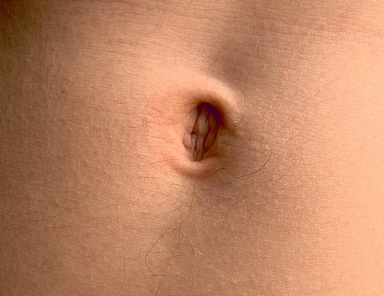 LEGANERD_042539.jpg