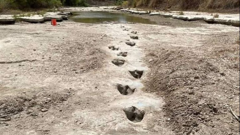 Lehorteak dinosauro lorratzak bistan utzi ditu Texaseko parke batean Lehorteak dinosauro lorratzak bistan utzi ditu Texaseko parke batean