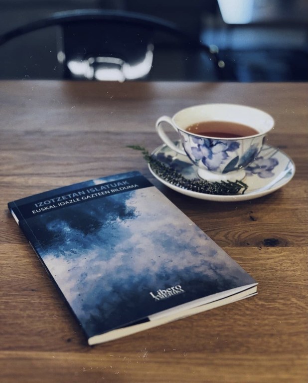 Liberoamerika argitaletxea itzultzaile bila