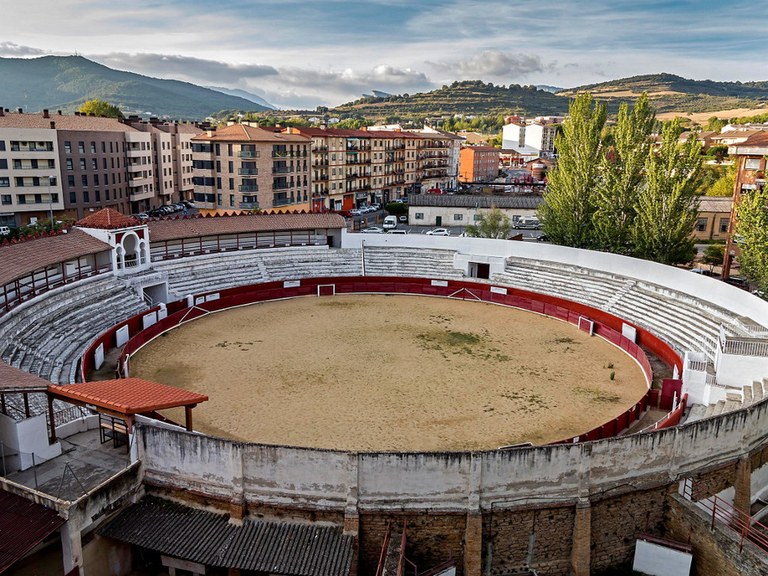 Lizarrako zezen plaza, txakurren paradisu Lizarrako zezen plaza, txakurren paradisu