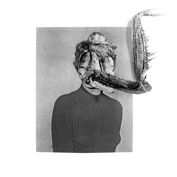 Mantiis Mantiis