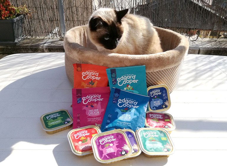 EdgardCooper_cats_sitandplas.jpg