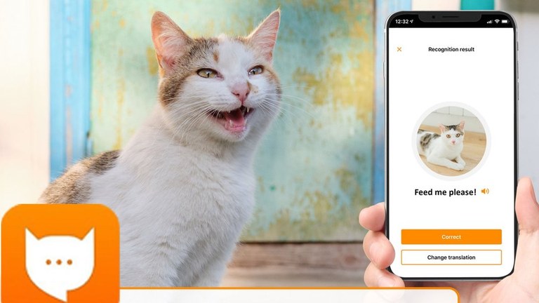 MeowTalk: zure katuaren miauak itzultzen dituen aplikazioa MeowTalk: zure katuaren miauak itzultzen dituen aplikazioa
