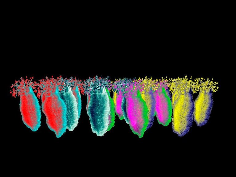Mikel Otxotekok 'Hondoko planoa' erakusketa ipini du Gasteizko Montehermoson