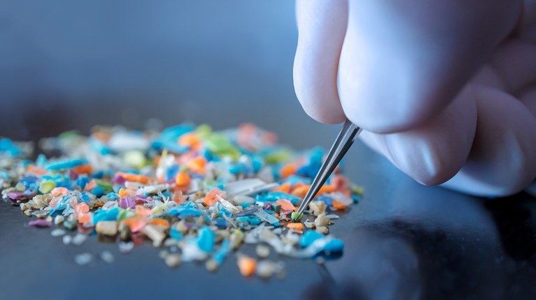 Mikroplastikoak barrabiletan Mikroplastikoak barrabiletan