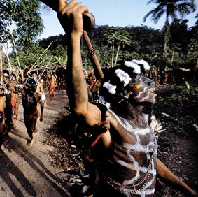 Miraria Amazonian Miraria Amazonian