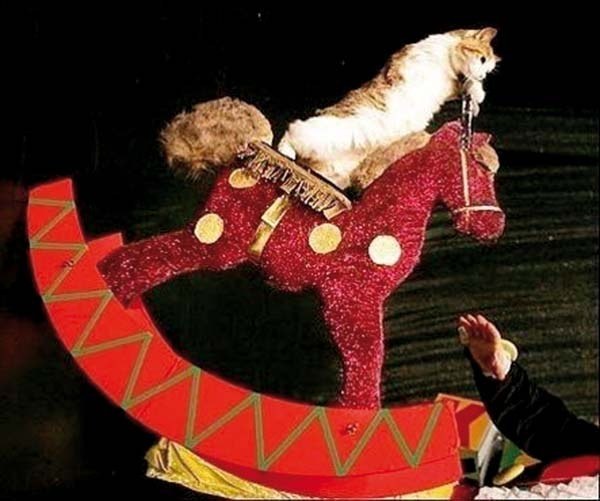 Mosku Mosku