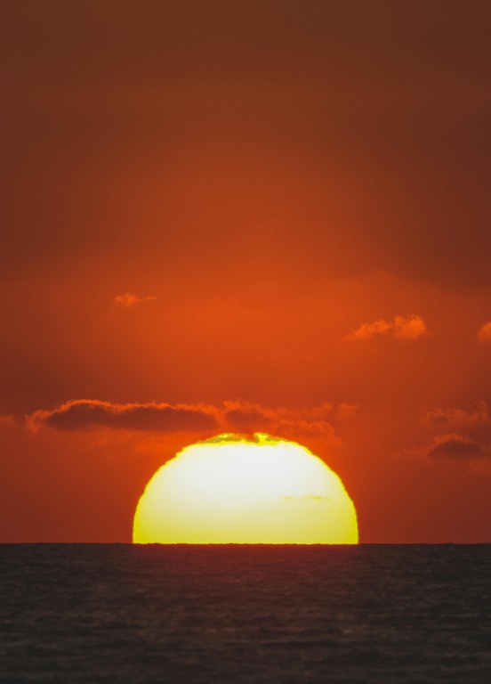 Muturreko beroak, Europan, ia 50.000 pertsona hil ditu