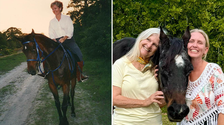 nagusik zaldikin.png