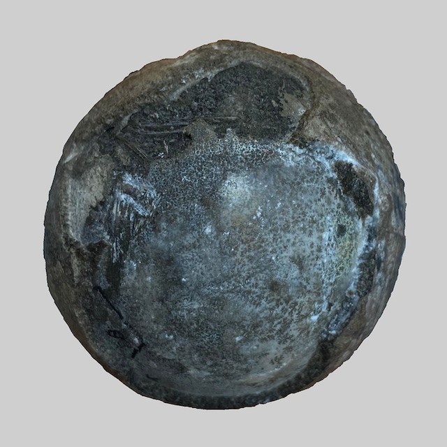 Nanhsiungchelyid-turtle-egg-containing-baby-turtle-Photo-by-Yuzheng-Ke_square.jpg