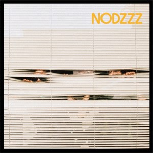 Nodzzz ***** Nodzzz *****