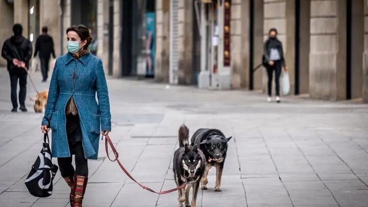 Nola atera txakurrarekin koarentenan? Nola atera txakurrarekin koarentenan?