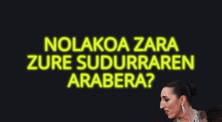 NOLAKOA ZARA ZURE SUDURRAREN ARABERA?