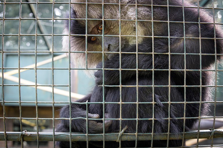 Nor taldeak Euskal Herriko zoo eta akuarioen gezurrak salatu ditu Nor taldeak Euskal Herriko zoo eta akuarioen gezurrak salatu ditu