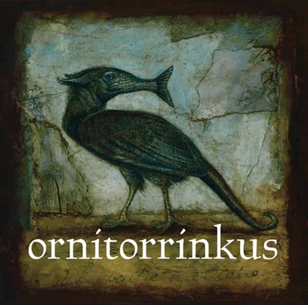 Ornitorrinkus Ornitorrinkus