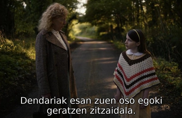 Oscarretako izendapenetan dauden zazpi film euskaraz gozatzeko aukera