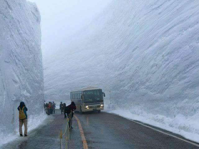 Patagonia izozturik; hotz polarrak Argentina hegoaldea zuritu du Patagonia izozturik; hotz polarrak Argentina hegoaldea zuritu du