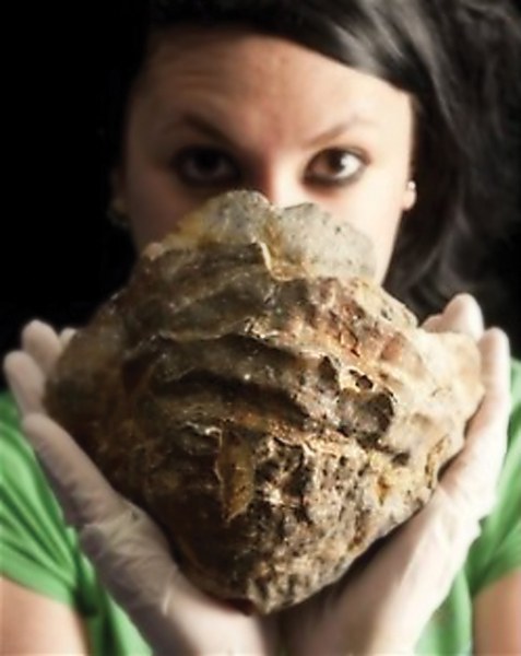 Perlatzarra Perlatzarra