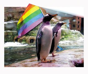 Pinguino homosexualak Pinguino homosexualak