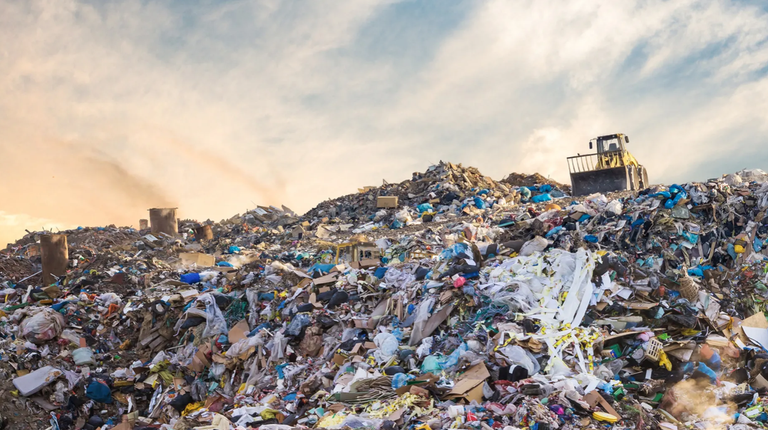 Plastikoa jaten duen entzima bat sortu dute Plastikoa jaten duen entzima bat sortu dute
