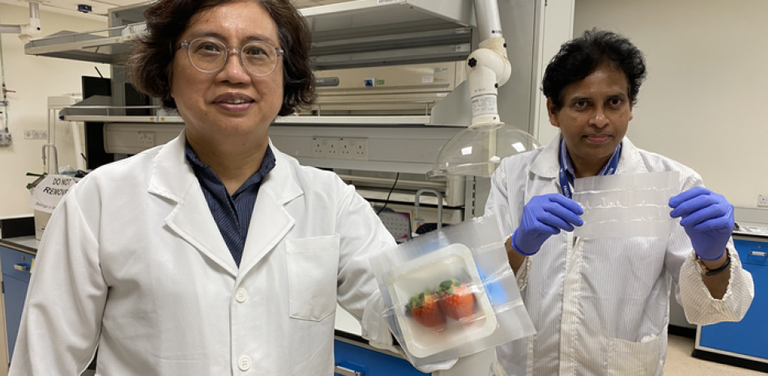 Produktuak ontziratzeko ontzi azkarrak sortu dituzte, mikrobioak ezabatzeko gai direnak Produktuak ontziratzeko ontzi azkarrak sortu dituzte, mikrobioak ezabatzeko gai direnak