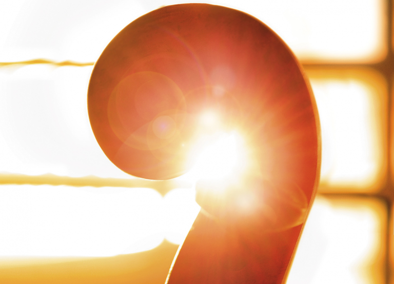 Queentettas taldearen 'Emakume musikagile estatubatuarrak' emanaldia izango da bihar Donostian