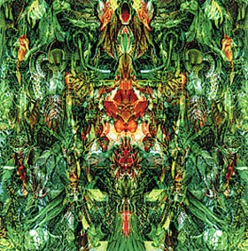 "Emerald aether" "Emerald aether"