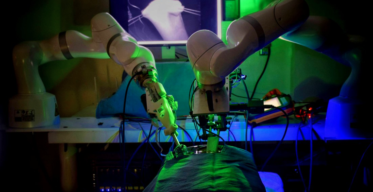 Robot batek, gizakiaren laguntzarik gabe, lehenengo kirurgia burutu du Robot batek, gizakiaren laguntzarik gabe, lehenengo kirurgia burutu du
