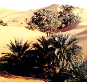 Saudi Arabiaren aberastasuna Saudi Arabiaren aberastasuna