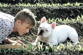 Secondhand Lions (El secreto de los McCann / Le secret des freres McCann) ** Secondhand Lions (El secreto de los McCann / Le secret des freres McCann) **